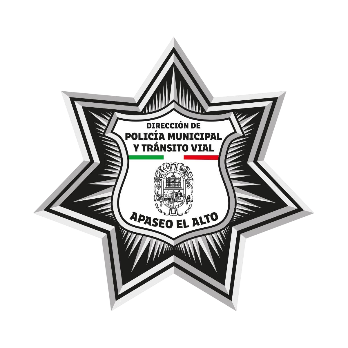 Direccion de Seguridad Publica y Transito Vial